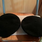 Cover image of  Beret